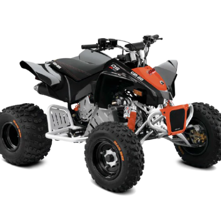 Can-Am DS 90 X (2021)