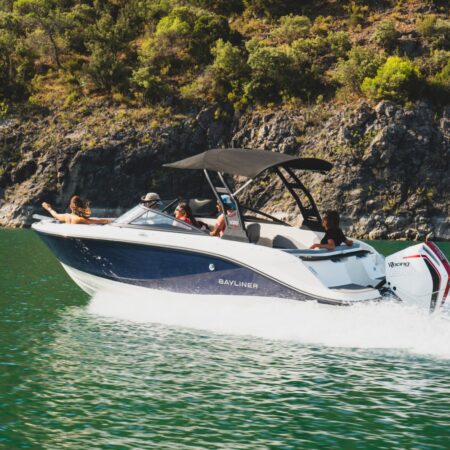 Bayliner V20