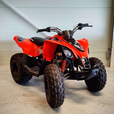 Can-Am DS 90 STD (2021)