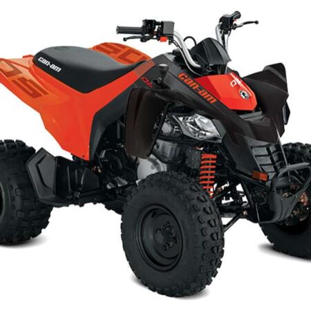 Can-Am DS 250 STD (2023)