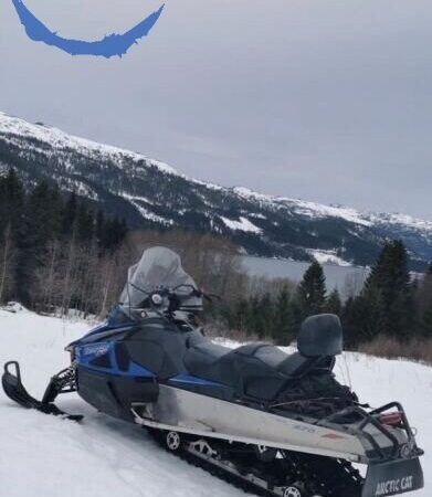 Motoneige Arctic Cat Bearcat 570